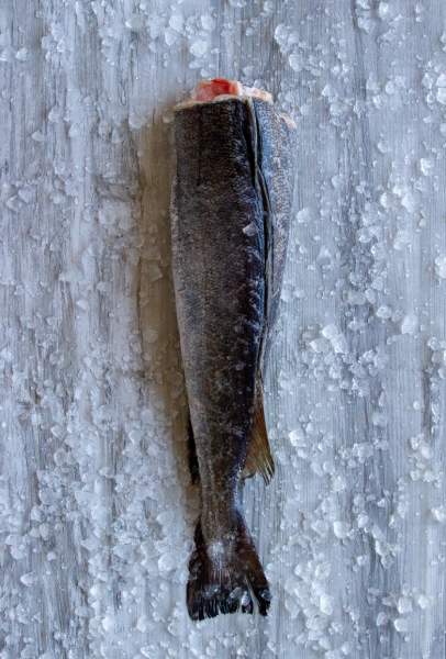 Fishalicious Fish Market - Fresh Fish - Hake