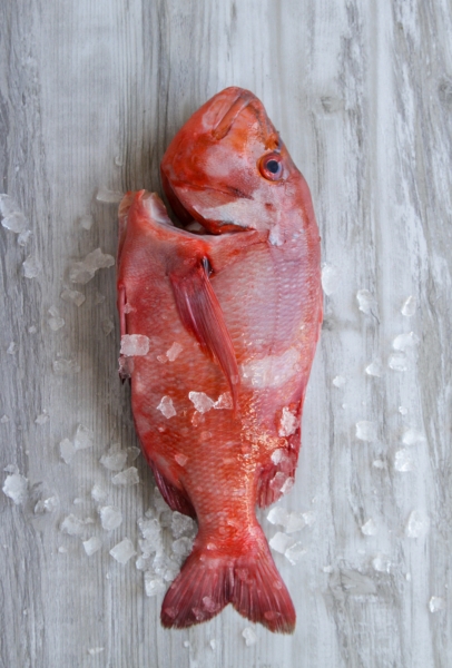 Fishalicious Fish Market - Fresh Fish - Roman