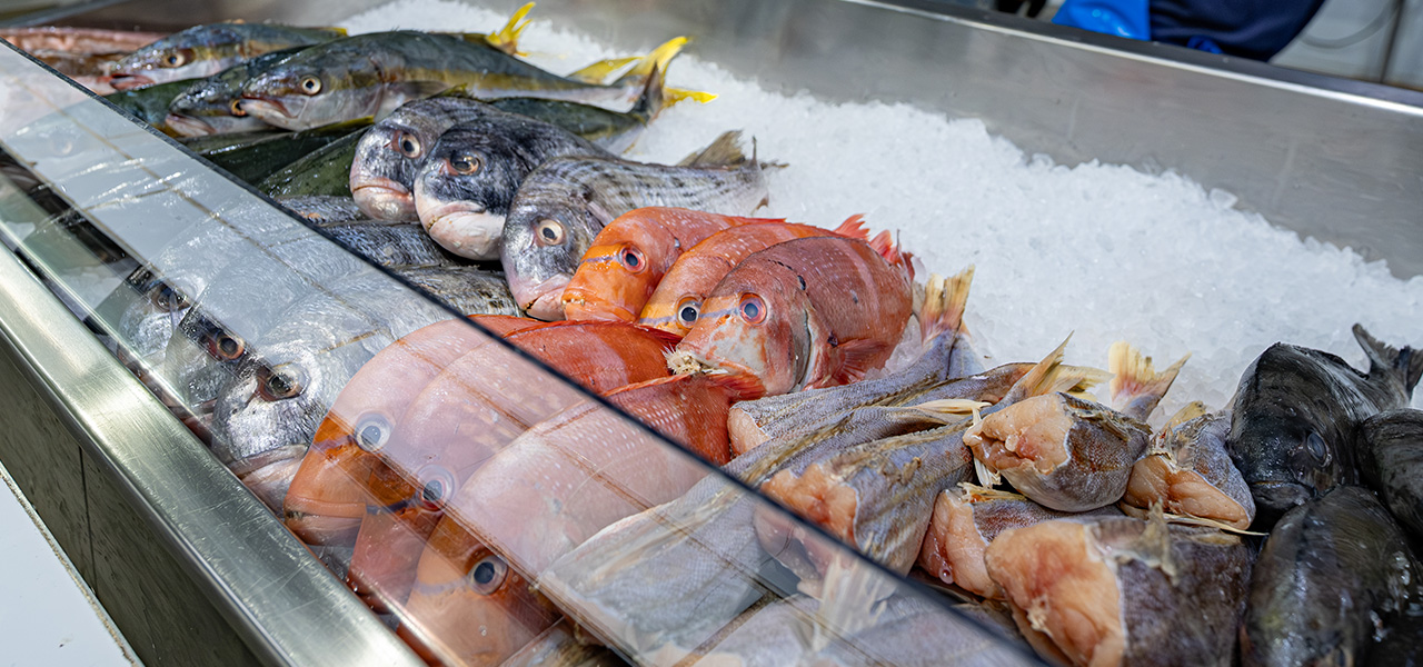 Fresh & Frozen Fish at Fishalicious
