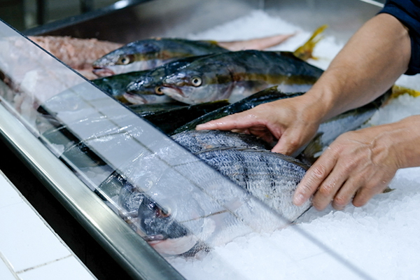 Fishalicious - Fresh Fish Market - Fresh Fish