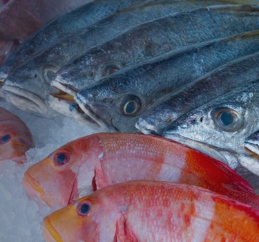 Fishalicious - Fresh Fish Market in George, South Africa