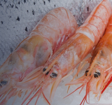 Fishalicious - Fresh Fish Market in George, South Africa