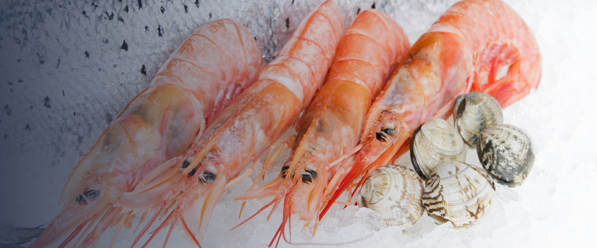 Fishalicious - Fresh Fish Market in George, South Africa