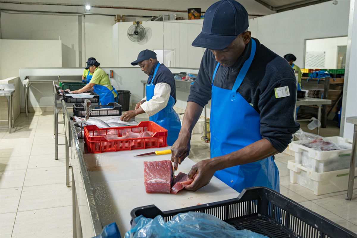Fishalicious Fish Market - Wholesale