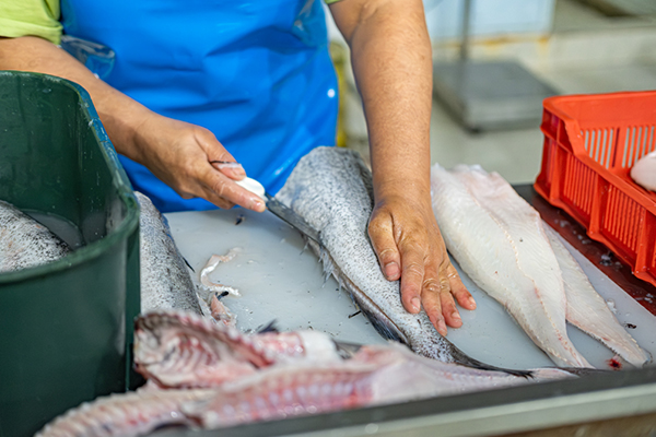 Fishalicious - Wholesale