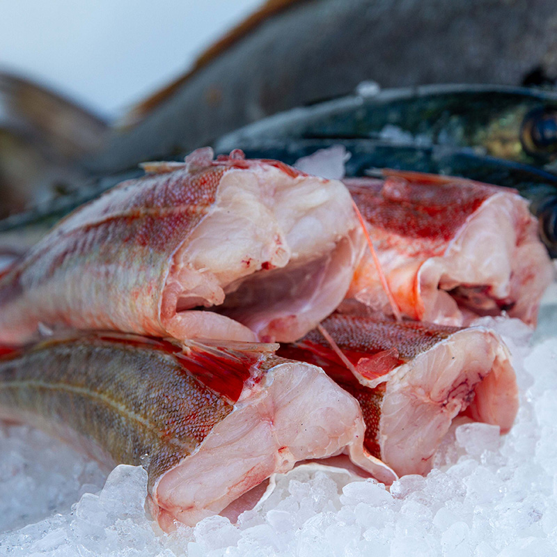 Our processing team at Fishalicious