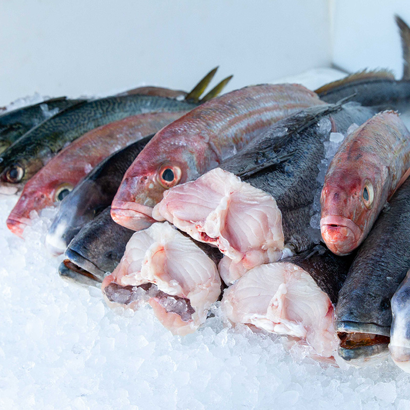 Our processing team at Fishalicious