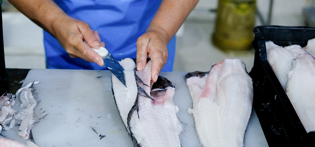 Our wholesale service at Fishalicious